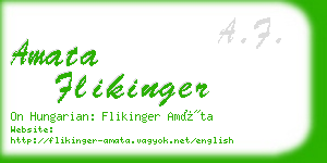 amata flikinger business card